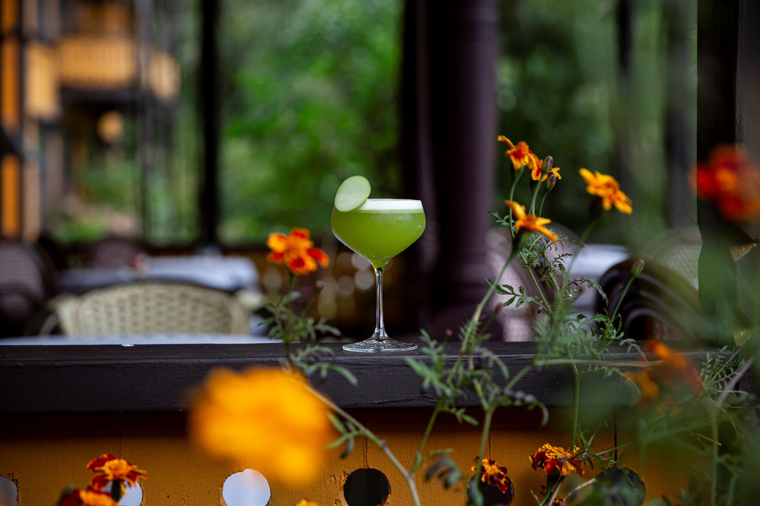 Drink Dalen Bar