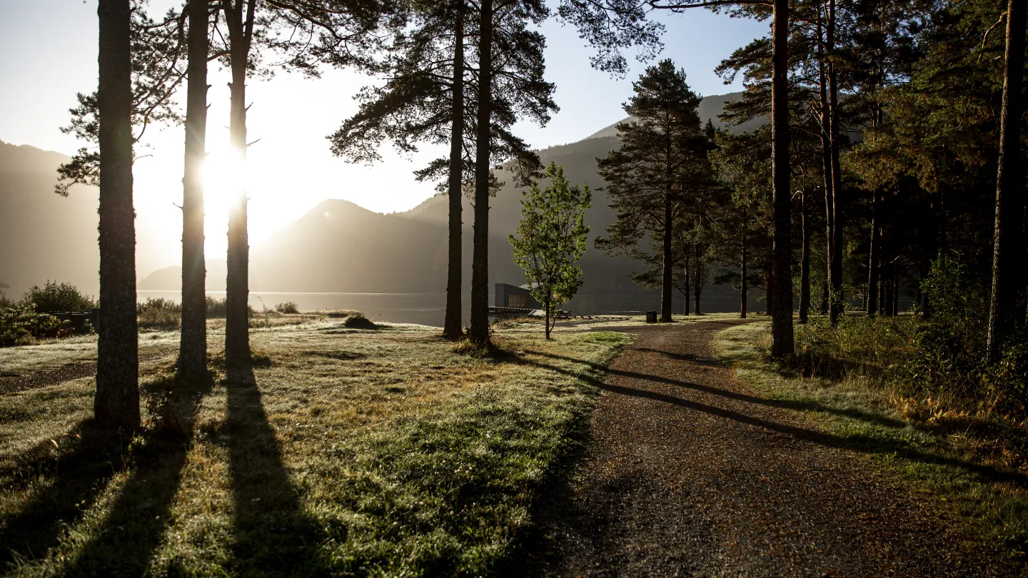 Nyt av att bo i en suite på Dalen med 20% rabatt