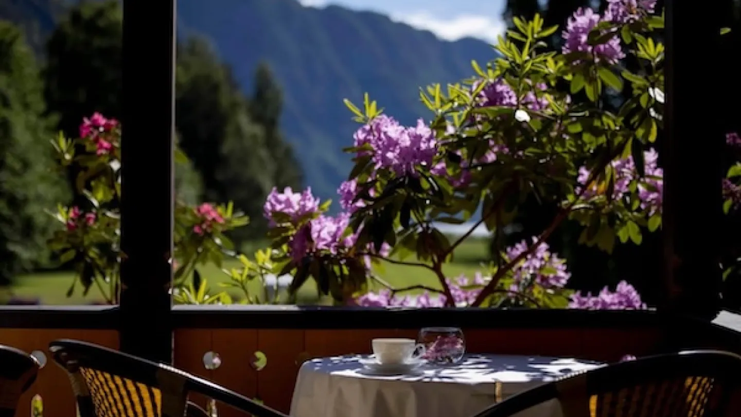 Terrasse