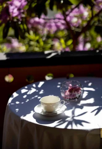 Idyll i solen med kaffekopp Idyll i solen med kaffekopp