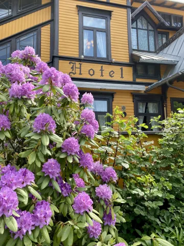 Sommeridyll med blomsterliv Sommeridyll med blomsterliv