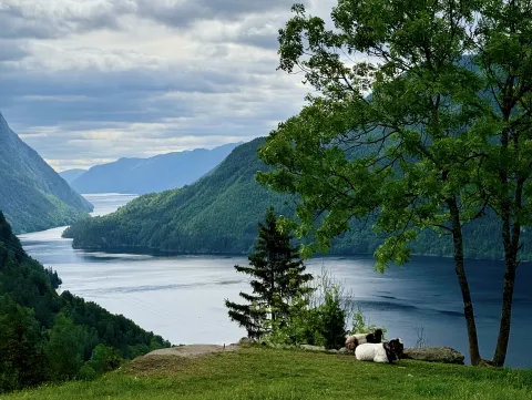 Utsikt til Rui søstrene Utsikt til Rui søstrene
