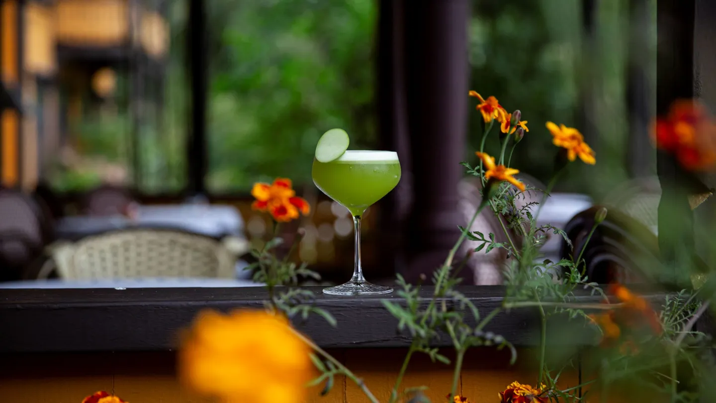 Cocktail